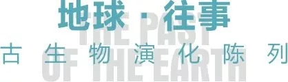 ƷݰɏѨƌW(xu)^